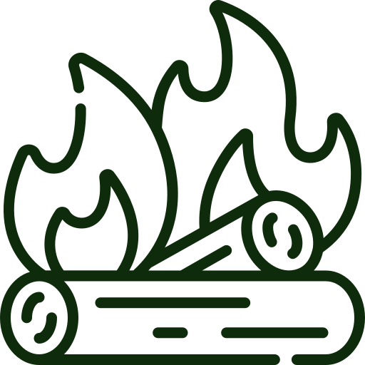 Firewood icon