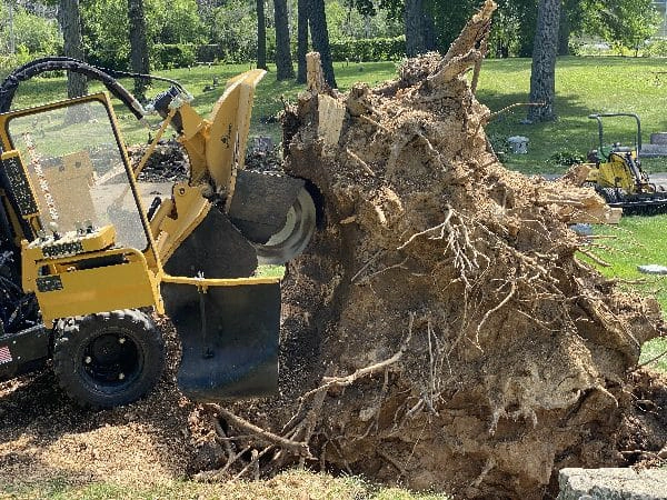 stump-grinding