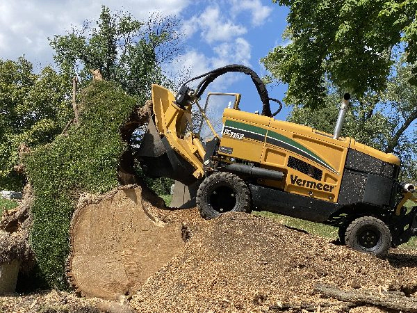 stump removal