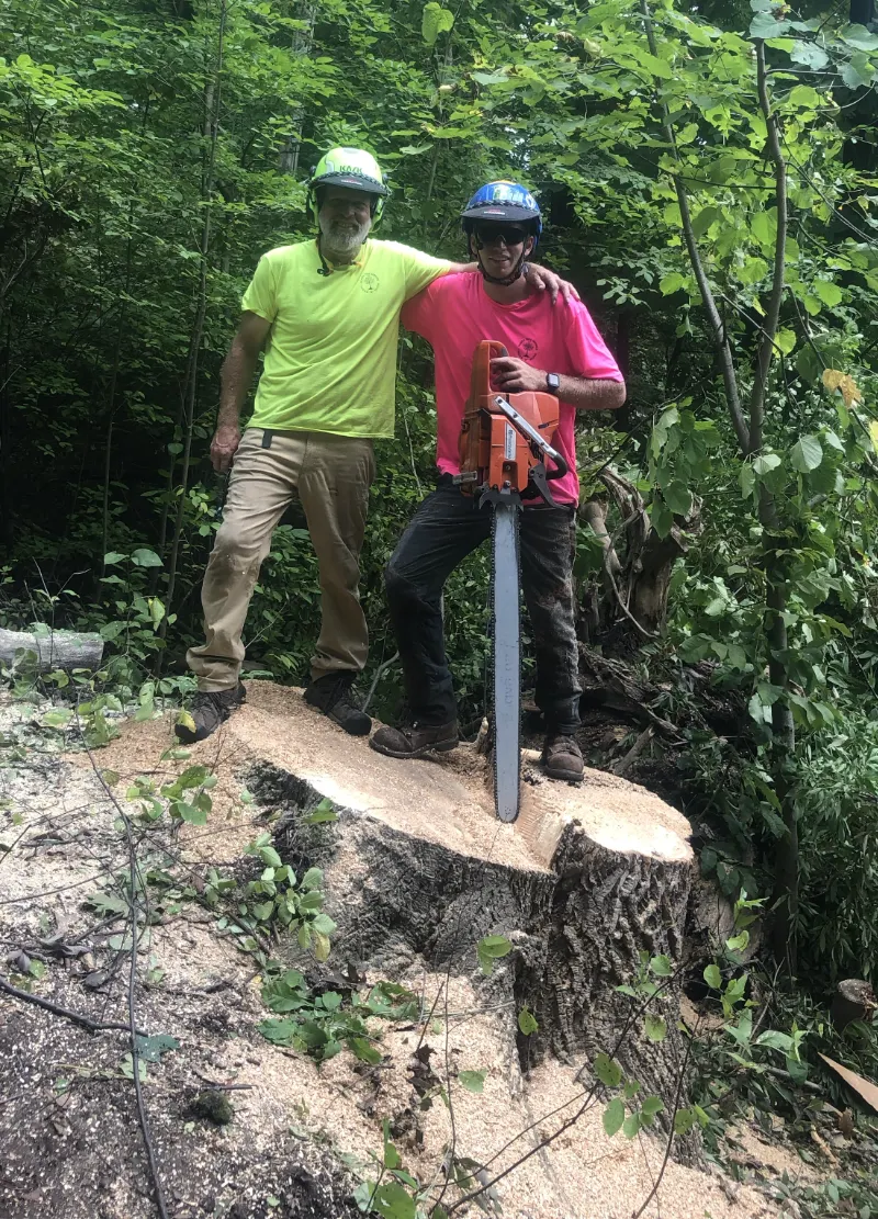 stump removal service