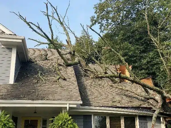 24 hour emergency tree removal Wauwatosa wi