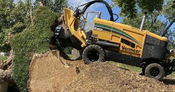 stump removal