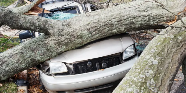 storm damage insurance