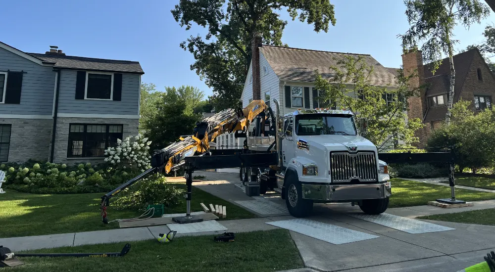 crane tree removal