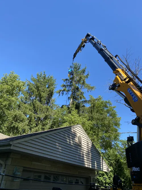 24-hr-emergency-tree-service-crane 24 hr emergency tree service - crane