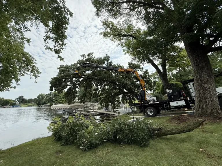 Emergency tree removal in progress at lakefront property on Muskego Lake, Wisconsin