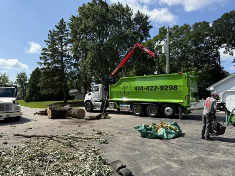Hauling wood from emergency tree removal at Muskego Lake, Wisconsin