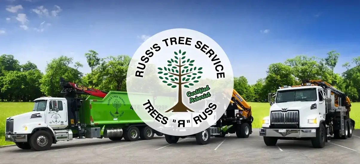 russ tree service - main website image