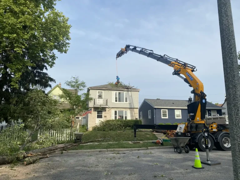 House cleared after crane removed storm-damaged tree in Franklin, Wisconsin