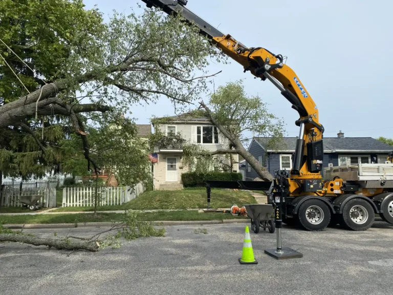 Crane lifting fallen tree off house during storm damage removal in Franklin, Wisconsin