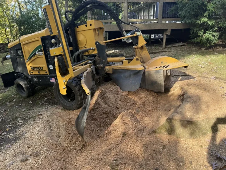 Vermeer stump grinder removing large red oak stump in Hales Corners, Wisconsin