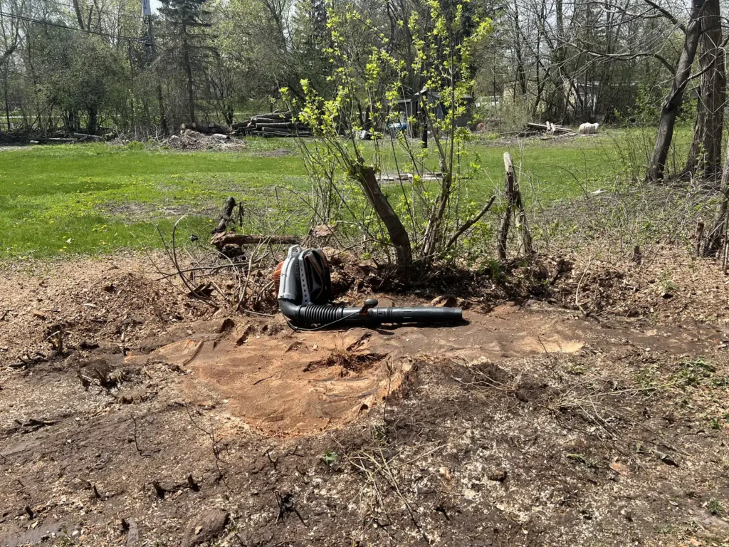 After Stump Grinding – Muskego WI Stump Grinding service