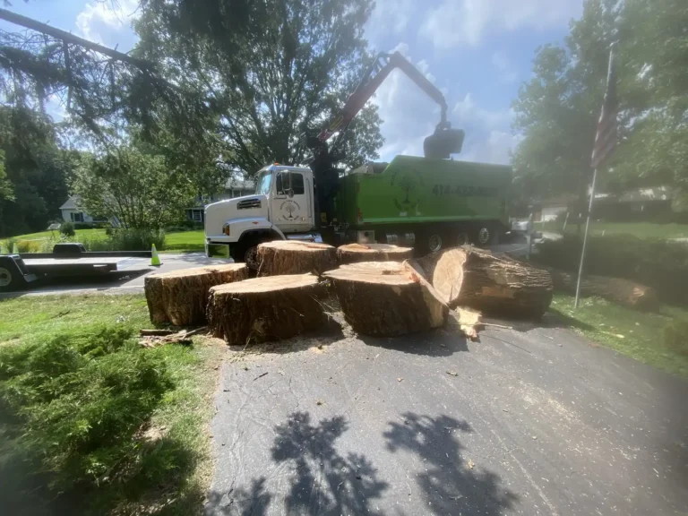 Hauling wood from large willow tree removal in Greenfield, Wisconsin