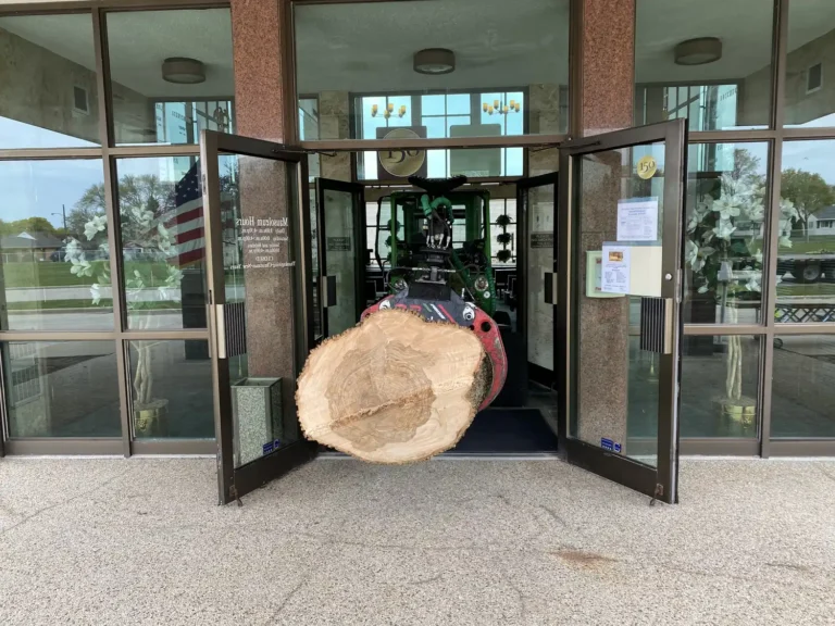 Large tree trunk being removed through mausoleum doorway in Milwaukee