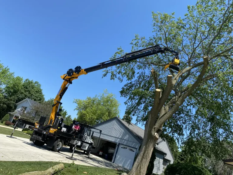 Grapple saw truck removing elm tree in New Berlin, Wisconsin